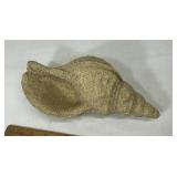 Sand Covered Conch Shell