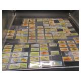 Player & Sons - Sea Fishes