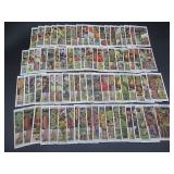 Will's Flowering Trees & Shrubs