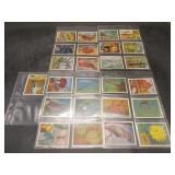 Trex Club  - Isn't It Strange