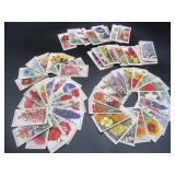 Will's Garden Flowers