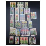 Cacti Cigarette Cards