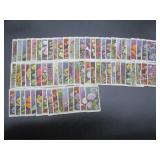 Will's Flowering Wild Flowers