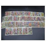 Will's Flowering Wild Flowers