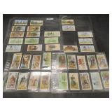 Player & Sons - Cycling