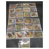 Player & Sons - Zoo Babies