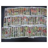 Will's Flowering Trees & Shrubs