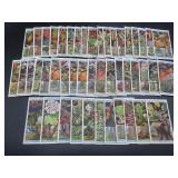 Will's Flowering Trees & Shrubs