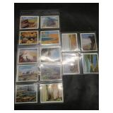 Trex Club - This Wonderful World