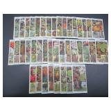 Will's Flowering Trees & Shrubs