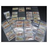 Player & Sons - Products of the World