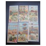 Liebig - La Flore Dans Les Deserts