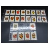 SDV - Heraldic Series - Fabric