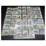 Wills - Racehorses & Jockeys