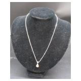 Silver Chain w/ Pendant