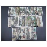 Cavanders - Camera Studies