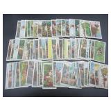 Wills - Life in the Tree Tops