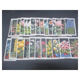 Wills - Flower Culture in Pots