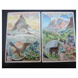 Lierbig - Mountain Life