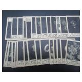 PreuBengold - Constellations