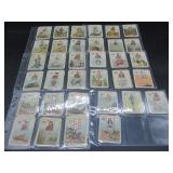 Carreras - Fortune Telling