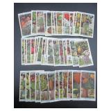 Wills - Flowering Trees & Shrubs