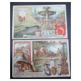 Liebig - Dolphins & Panthers