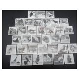 Dryfood LTD - Zoo Animals