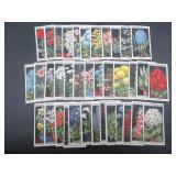 Wills - Flower Culture in Pots