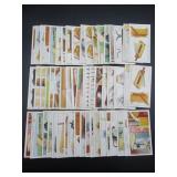 Wills - Household Hints