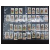 Player - Riders of the World