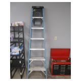 Werner 6 Ft Ladder