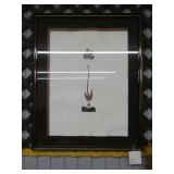 Orchid Imprint Art Signed 20/300