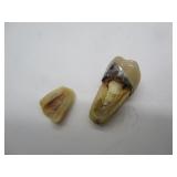 Various Fillings