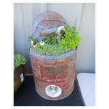 Metal Igloo Bucket w/Succulents & Driftwood
