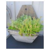 Wood Planter w/Succulents