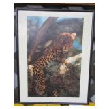 Leopard in Tree
