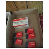 Ammo - Various 22 Rounds