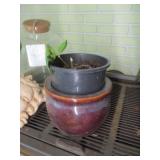 Brown Glazed Pot w/Plant