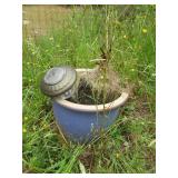 Ceramic Planter & Walkway Light