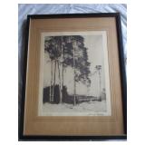 Framed Print