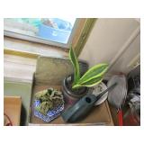Planters, Plants, Watering Can, Trivets
