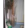08.21.2026 Yelm Online Onsite Auction