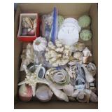 Shell Assortment
