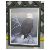 American Eagle Photo #1116 Lee Mann