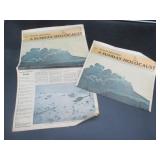 Daily Chronicle Newspaper- Mount St Helens