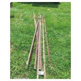 (8) 17' T Posts (Each)