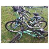 (3) Bicycles: (2) Girls, (1) Child (All)
