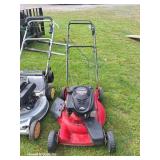 Murray 22' S/P Push Mower