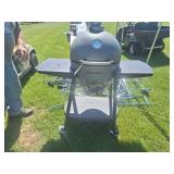 Kamado Charcoal Smoker/Grill